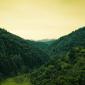 Secluded