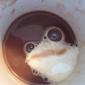 Ribbit