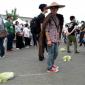 Taking a cabbage for a walk is now a thing