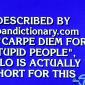 Carpe Diem for stupid people
