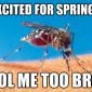 Spring