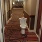 "Stay at the Hilton", they said. "It will be classy", they said.