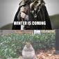 Winter is coming