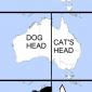Dog/Cat