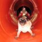 Yay! Slide!