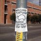 Missing Tortoise