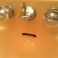 I seen some shit