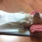 Sleeping