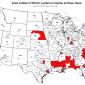 Area codes in which Ludacris claims to have hoes in