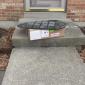 FedEx is good...