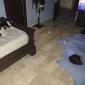 Cat in control