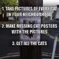 Free Cats Tutorial