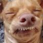 Sneezeface