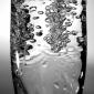 Champagne Bubbles