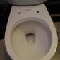 This toilet was very excited to be installed today
