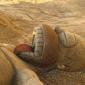 Homer Sleeping Sand Sculpture