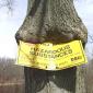 Tasty Hazardous Substances