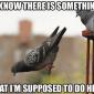 Forgetting Something?