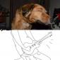 Rockstar