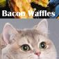 Grilled Cheese Bacon Waffles