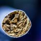 Cigarette Closeup