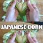 Cultural differences