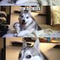 Tickles