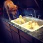 Supervising bath time