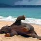 Day at the Beach