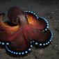 Blue glowing coconut octopus