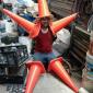 Mexican Starfish