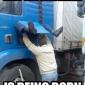 A scene rarely witnessed in the wild