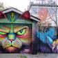 Cat on The House