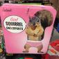 Squirrel Underpants