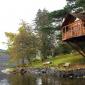 Tree house