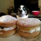 Pastry Lover