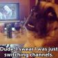 Wrong channel