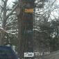 Mailboxes