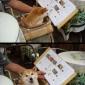 Doge