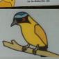What did one Motmot say to the other Motmot?