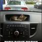 GPS Cat