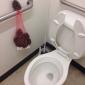 No toilet paper?