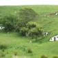 Farm Bunkers