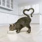 Cat Loves Food