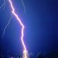Lightning Tree
