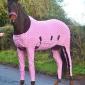 Horse wearing pajamas