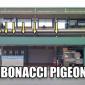 Pidgeonacci Sequence