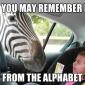 Z is for traumatized