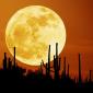 Huge Moon