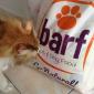 Turkish pet food brand